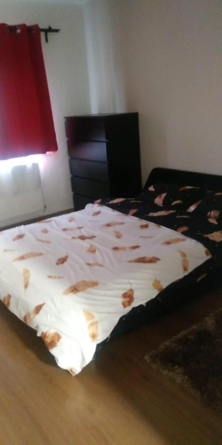 Apartament Marasesti بايا ماري المظهر الخارجي الصورة
