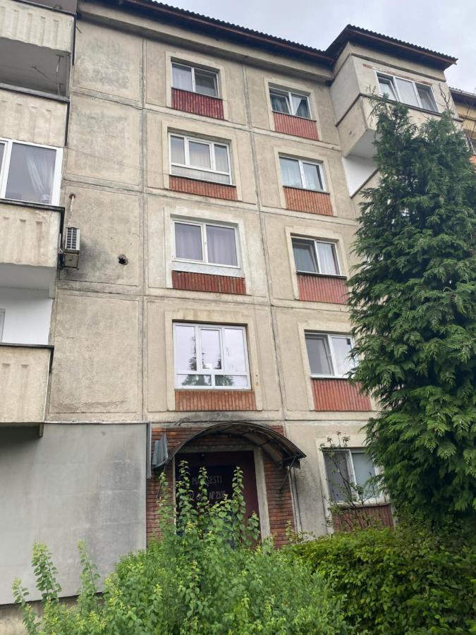 Apartament Marasesti بايا ماري المظهر الخارجي الصورة