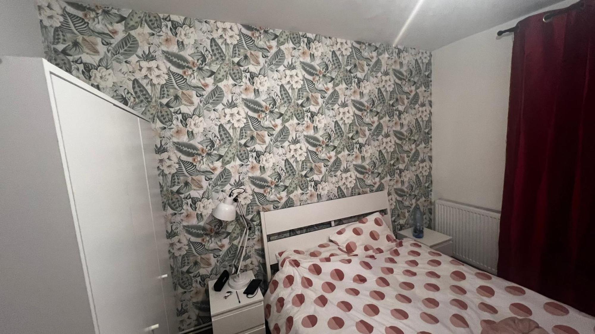 Apartament Marasesti بايا ماري المظهر الخارجي الصورة